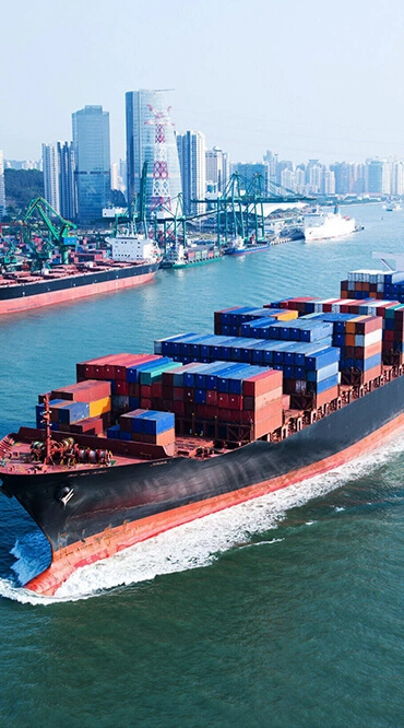 Novas Global Lojistik Depo ve Antrepo Hizmetleri